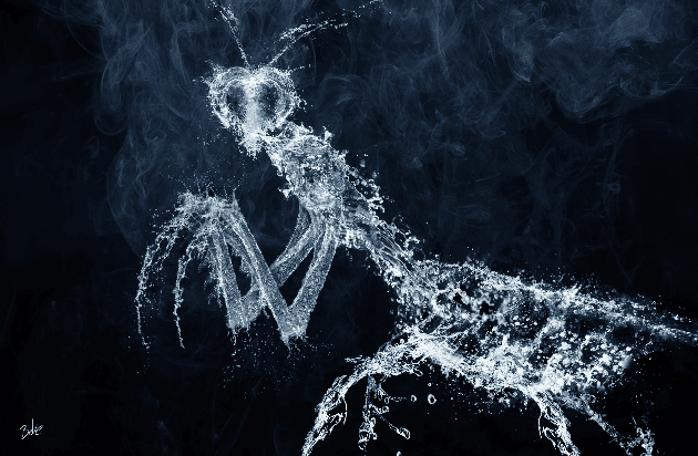 Une campagne malveillante connue sous le nom de Roaming Mantis arrive en France